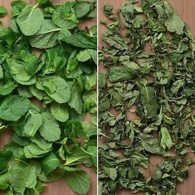 How to Dry Mint at Home Naturally: Easy Methods for Fresh, Flavorful Herbs All Year