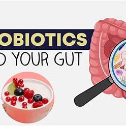 Probiotics for Colds and Flu: Your Comprehensive Guide to Natural Immune Support in 2025
