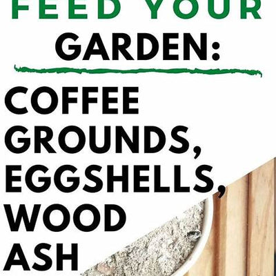 55 Genius Gardening Hacks to Simplify Your Tasks – Eco-Friendly & Beginner-Friendly in 2025