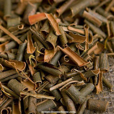 White Willow Bark Benefits and Uses: Nature’s Original Aspirin for Pain Relief