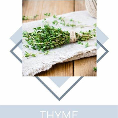8 Everyday Benefits of Thyme: The Little Herb with a Big Heart
