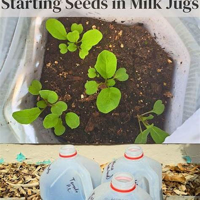 How to Start Seeds in a Recycled Milk Jug: Your Ultimate Eco-Friendly Greenhouse Guide for 2025