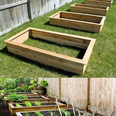 DIY Raised Bed Garden Tips & Tricks: Build the Perfect Raised Bed for Abundant Harvesting in 2025
