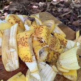 How to Make Homemade Banana Peel Fertilizer for Your Garden – Eco-Friendly & Potassium-Rich