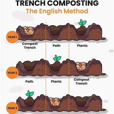 Trench Composting: Unlock Richer Soil with Minimal Effort in 2025