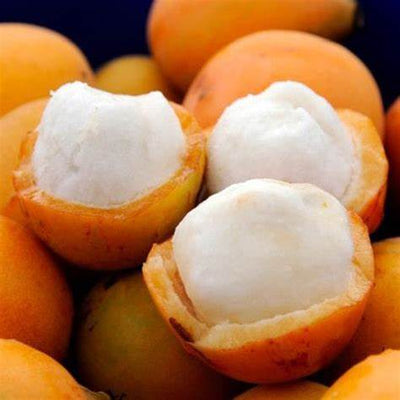 Achachairu (Garcinia humilis): Unveiling the Secrets of a Remarkable Tropical Superfruit