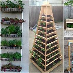 The Ultimate Guide to Vertical Gardening: Growing Up, Not Out in 2025