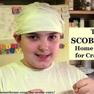 The SCOBY Cure: Unveiling the Remarkable Healing Potential of Kombucha SCOBYs