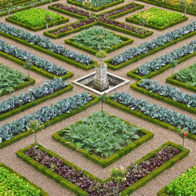 Creating a Potager: Crafting a Charming and Productive French Kitchen Garden