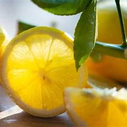 10 Clever Ways to Reuse Lemon Seeds at Home for a Zero-Waste Lifestyle
