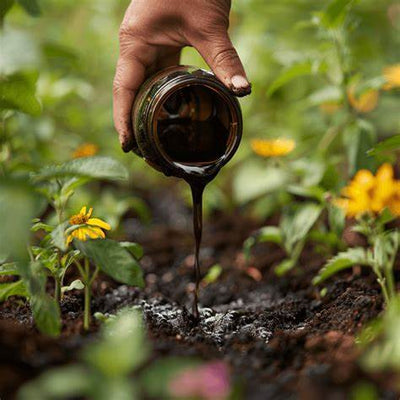 The Sweet Science: How Molasses Supercharges Plant Growth Naturally