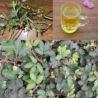 Unlocking Nature's Pharmacy: The Amazing Benefits of Turmeric and How to Use It Effectively