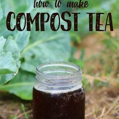How to Make the Best Homemade Compost Tea for Your Plants: A Comprehensive Guide for 2025 Gardeners