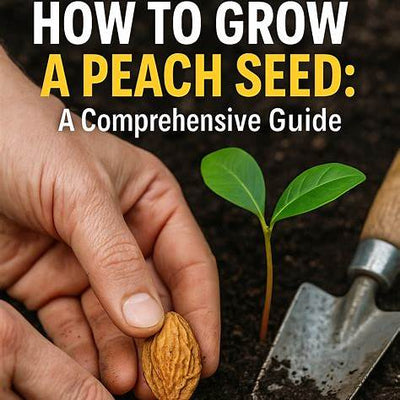 The Ultimate Guide to Growing a Peach Tree from Seed: From Pit to Plate in 2025