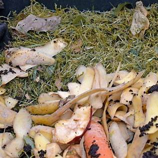 Potato Peels: Don't Throw Them Away—Reuse, Compost & Save Money