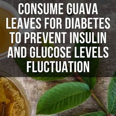 Guava Leaves for Blood Sugar Control: A Natural Ally for Diabetics
