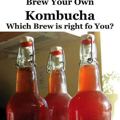 How to Brew Your Own Kombucha at Home: A Comprehensive Guide for Beginners and Beyond