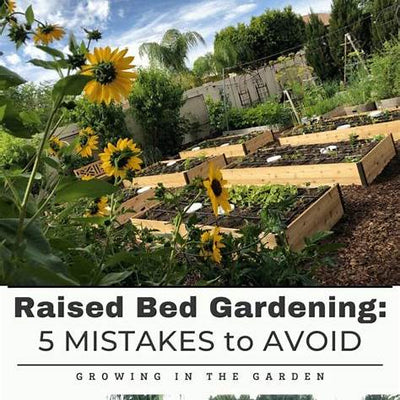 Top 7 Raised Bed Gardening Mistakes to Avoid for a Lush, Productive Garden