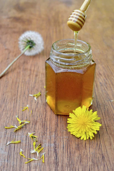 Dandelion Honey: Capturing the First Warm Days in a Jar and Embracing the Spring Foraging Kitchen