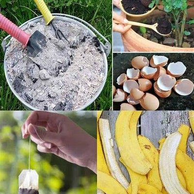 Unlock Your Garden's Potential: 10 Incredible Homemade Fertilizers Using Household Items