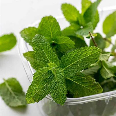 How to Dry Mint at Home Naturally: Easy Methods for Fresh Herb Preservation