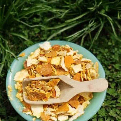 Unlock Your Garden's Potential: The Ultimate Guide to Transforming Orange Peels into Potent Fertilizer and Natural Pesticide