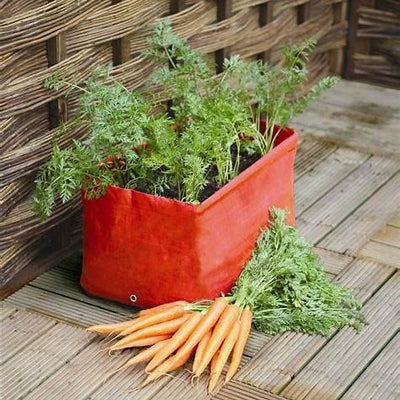 Mastering Container Carrot Gardening: Your Comprehensive Guide to a Bountiful Home Harvest in 2025