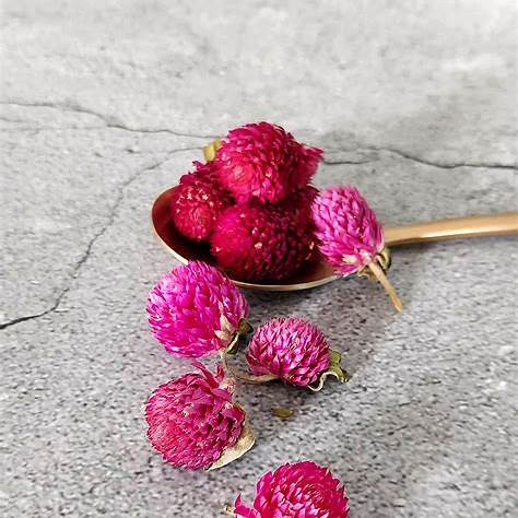 Top Benefits of Globe Amaranth Tea: A Deep Dive into This Vibrant ...