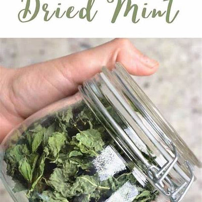 How to Dry Mint at Home Naturally: The Ultimate Guide for 2025