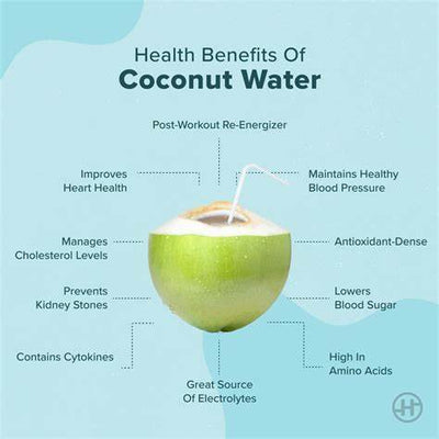 Coconut Water: Nature’s Hydration Secret and Everyday Wellness Drink