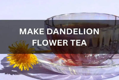 How to Make Dandelion Flower Tea at Home