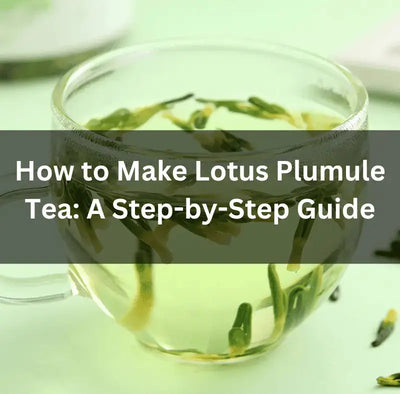 How to Make Lotus Plumule Tea at Home