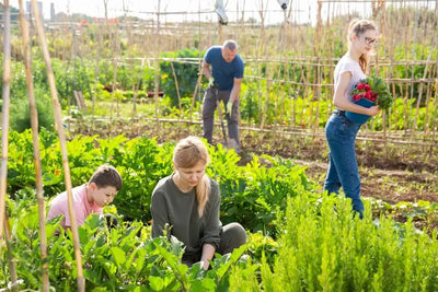 Mastering Time Management on the Homestead