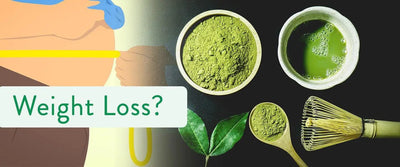 Does Matcha Assist with Weight Loss?