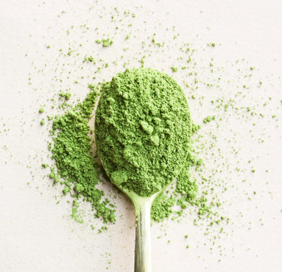 Matcha vs Coffee: Health Benefits compared