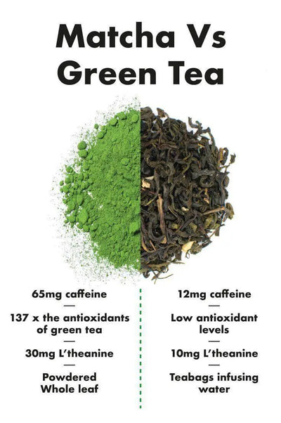 Matcha vs Green Tea: Understanding the Differences