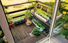 Maximizing Small Spaces for Growing Vegetables