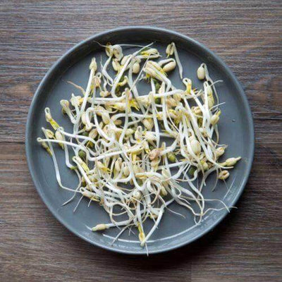 The Nutritional Benefits of Mung Bean Sprouts