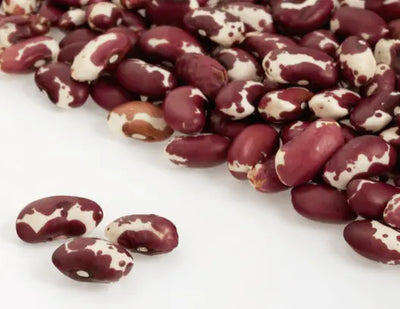 The Nutritional Value of Anasazi Beans