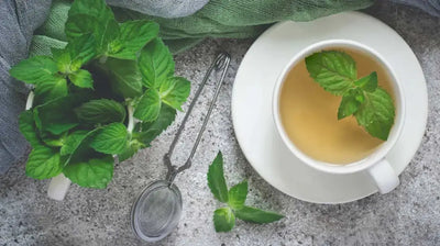 An Invigorating Journey Infused with Peppermint Power: Mentha Piperita Tea