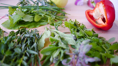 Unlock the Benefits of Vegetable and Herb Seeds for Your Healing Garden
