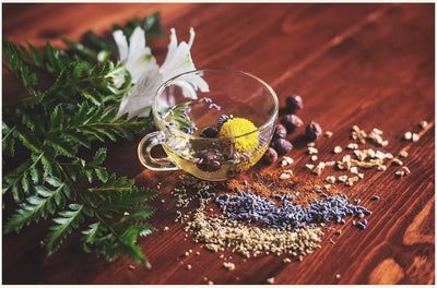 The Fascinating History and Origins of Herbal Tea