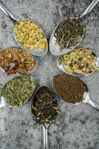 The Benefits of Garden Seeds in Holistic Herbal Practices