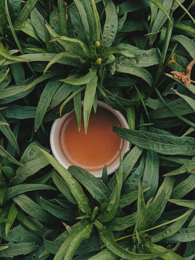 The Healing Properties of Tea Leaves: Unlocking Nature's Elixir