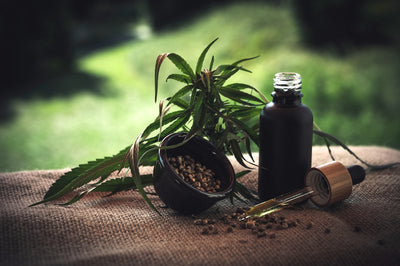 Understanding Healing Plants and Their Impact on Health