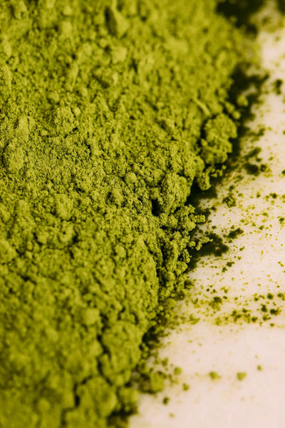 A Beginner's Guide to Matcha Tea: Unlocking the Secrets of this Ancient Japanese Elixir