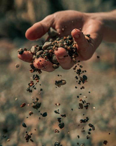 Embrace the Healing Power of Neem Leaves Tea: A Path to Wellness
