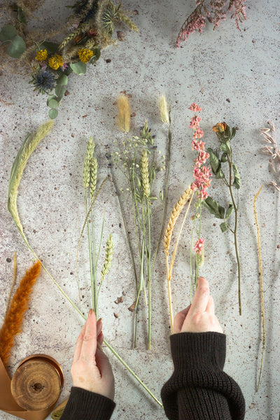 The Magic of Spearmint: Cultivating a Refreshing Herb Oasis in Your Garden