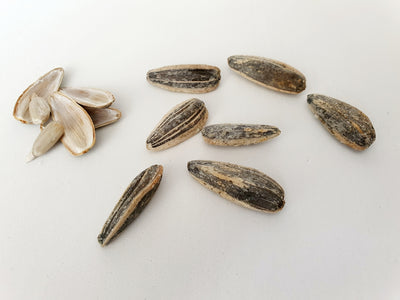 Explore the Sacred Essence of Frankincense Myrrh Resin for Mindful Moments