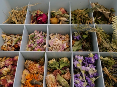 Tree Seeds Possibilities: Building Scenic and Healing Landscapes